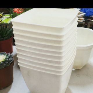 combo 10 cái chậu vuông trồng cây đường kính 16cm