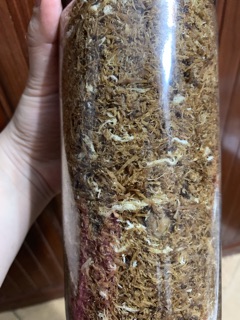 Ruốc nấm thịt 500gr, 300gr