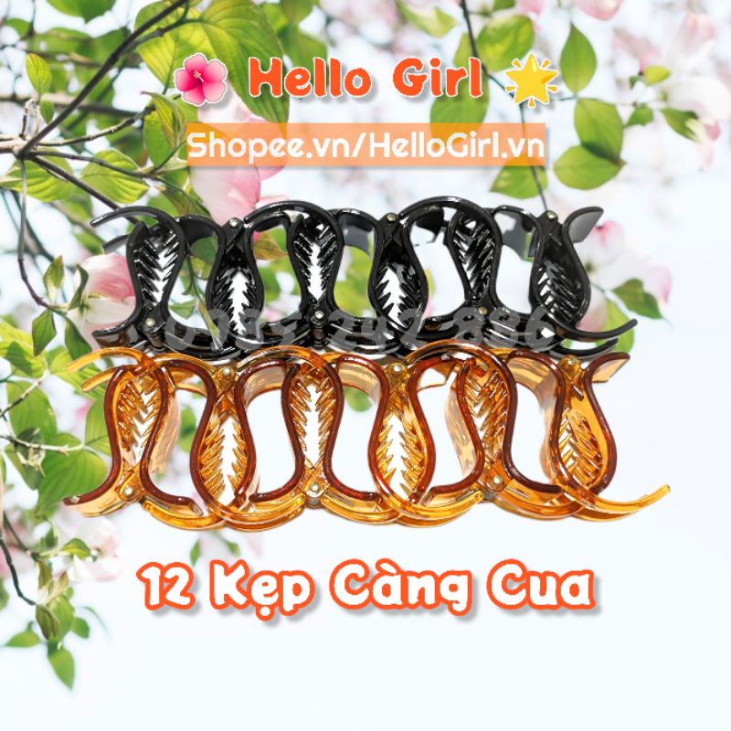 [Mã 11FASHIONSALE1 giảm 10K đơn 50K] SET 12 Kẹp Tóc Càng Cua Mix Màu