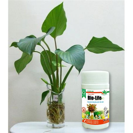 sale off BioLife 100ml- Dinh dưỡng cho cây trồng thủy canh, thủy sinh hàng chuẩn cty.