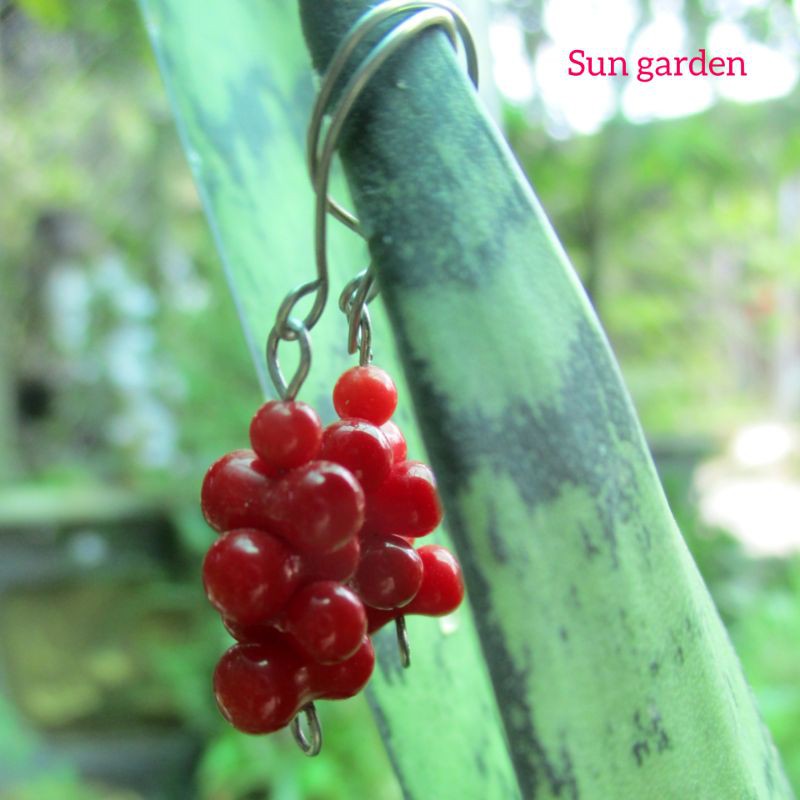 Bông tai san hô đỏ red coral sang trọng