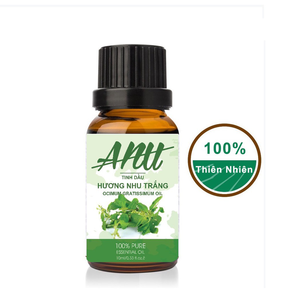 Tinh Dầu Hương Nhu Anu Fragrance | 100% Thiên Nhiên Nguyên Chất | Ocimum Essential Oil | Kiểm Nghiệm Quatest 3