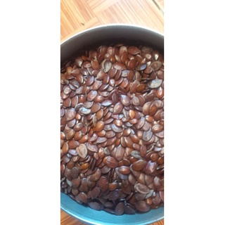 500gram hạt giống keo dậu