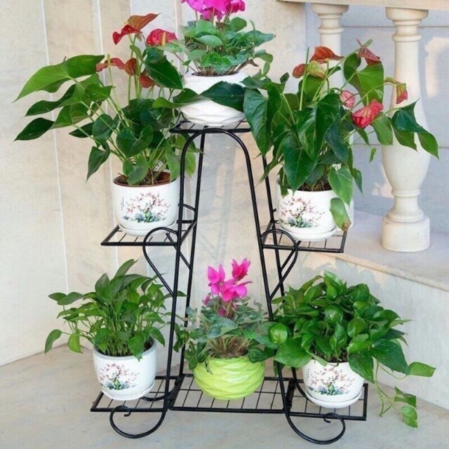 Kệ để chậu cây cảnh 6 tầng đẹp