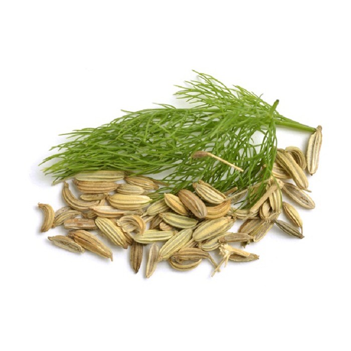 Hạt Tiểu Hồi Hương nhập-Fennel seed