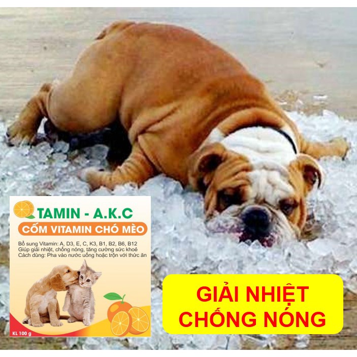 Cốm dinh dưỡng Vitamin C giúp giải nhiệt, chống nóng cho chó mèo cao cấp