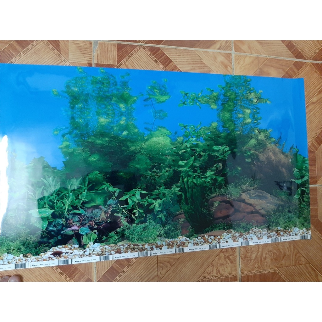 Tranh dán bể cá 1m