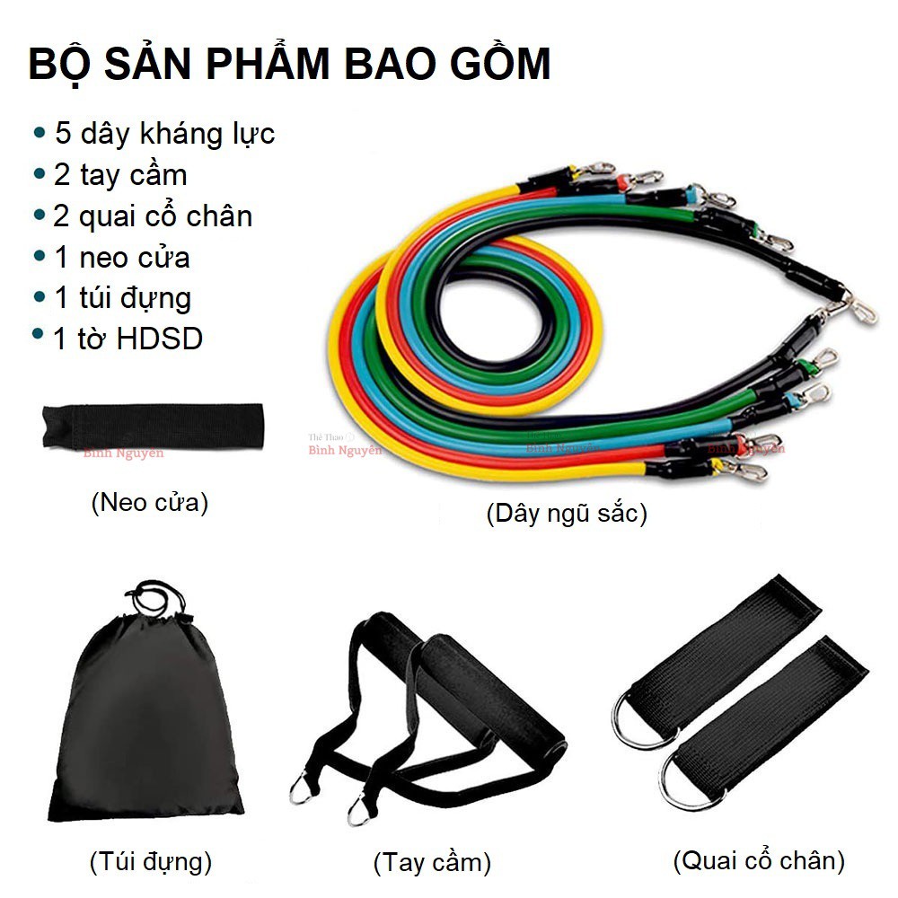 Bộ dây kháng lực ngũ sắc tập gym 11 món cao cấp - Resistance band dây kháng lực thể hình thể lực tập ngực body