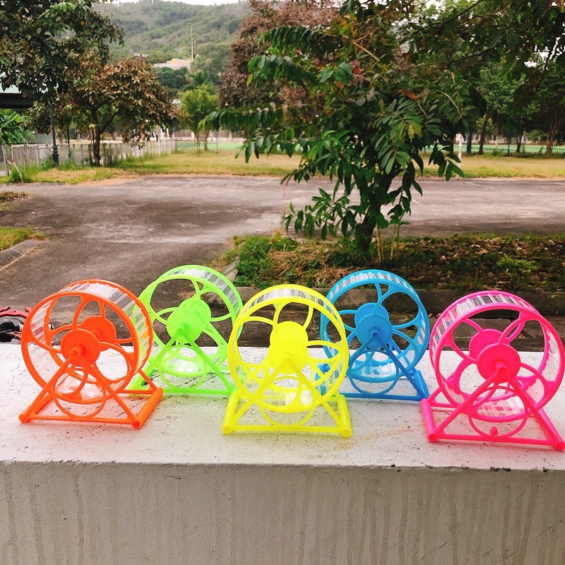 Wheel chạy cho hamster