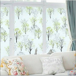 5m decal  dán kiếng đồi thông