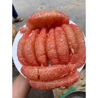 Bưởi da xanh ruột đỏ