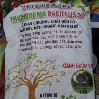 TRICHODERMA – BACILLUS.SP - Tăng hiệu lực đối kháng cho cây trồng .