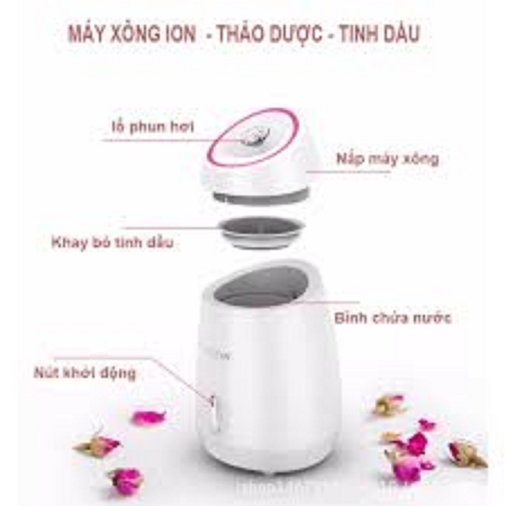 [Giá Buôn] MÁY XÔNG HƠI DA MẶT HOA QUẢ TƯƠI MAOER