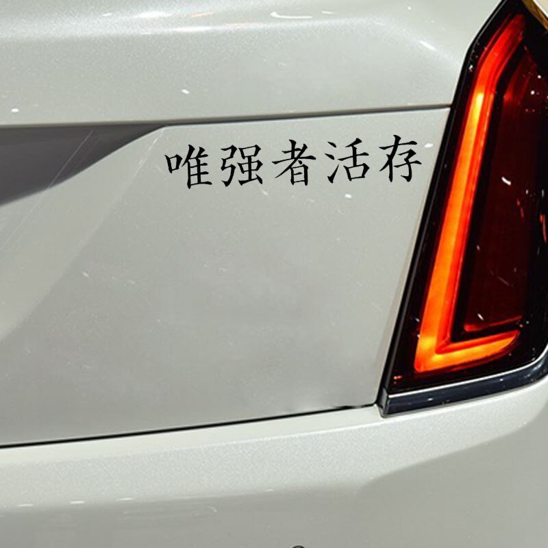 Đề can vinyl chữ Kanji phong cách Trung Hoa trang trí xe hơi kích cỡ 16cmx3cm