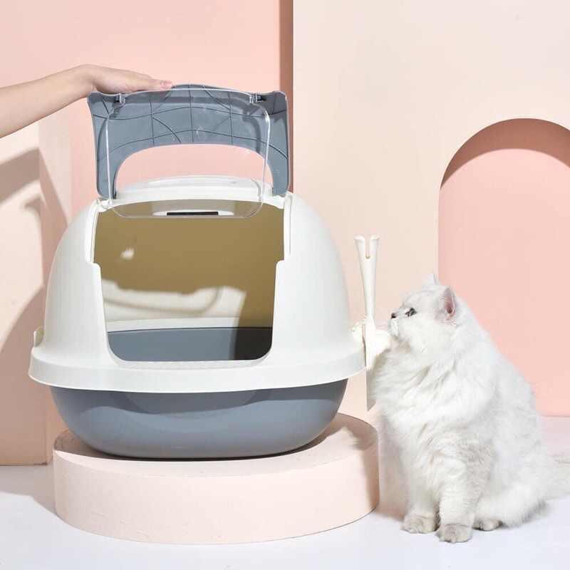 [TREND 2021] Nhà Vệ Sinh Pastel Cho Mèo Cửa Trong Suốt Size Lớn Rộng Rãi
