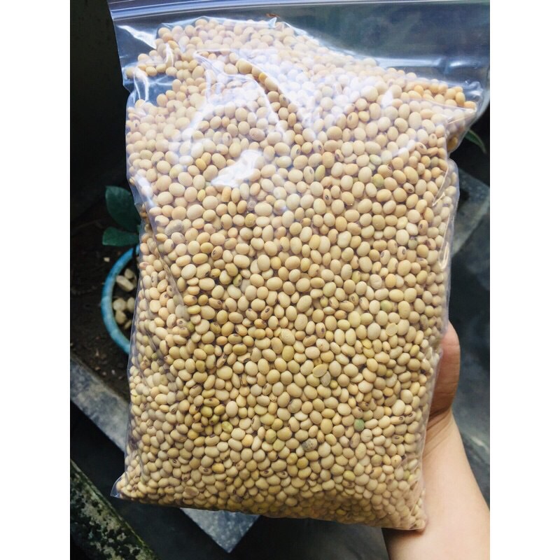 Đậu nành thuần chủng hữu cơ 1kg, đậu nành quê không chất bảo quản