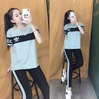 Bo côtbg mật nha