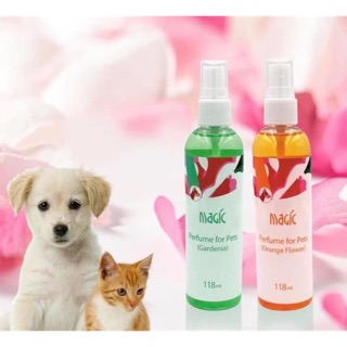 Nước Hoa Cho Thú Cưng MAGIC Tạo Hương Thơm Nhẹ Nhàng Dễ Chịu