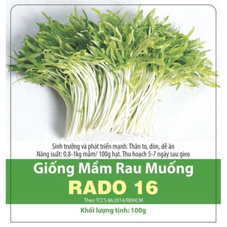 [Rạng Đông] Hạt Giống Mầm Rau Muống Rado 16 Dễ Trồng 100gr