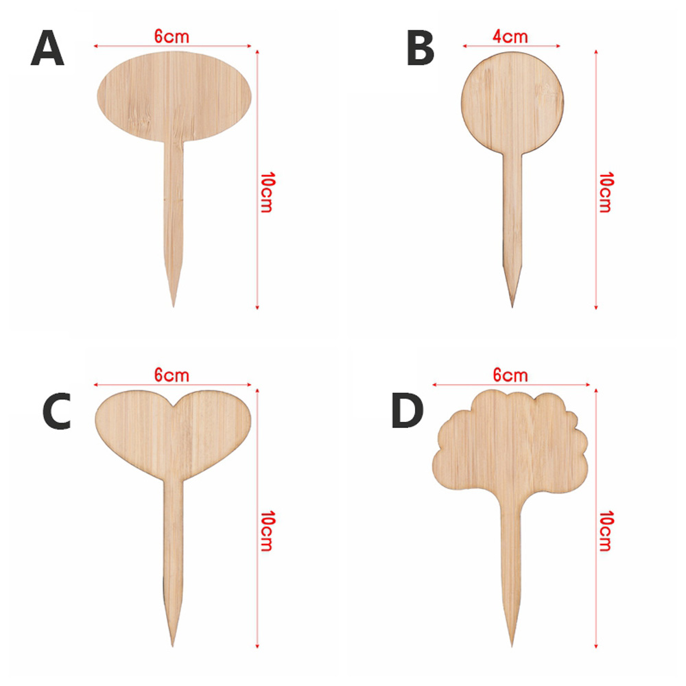 Set 50 Thẻ Gỗ Đánh Dấu Chậu Hoa Trang Trí