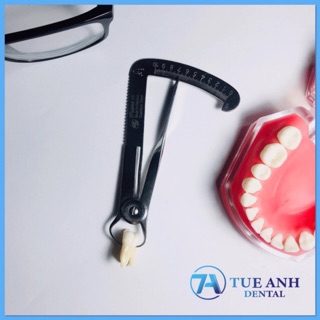 THƯỚC ĐO LÒNG CẦU MÃO