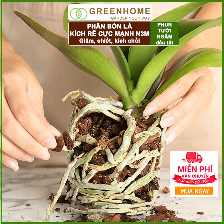 Thuốc kích rễ N3M, hũ 100gr, siêu ra rễ, giâm, chiết cành, ngâm hạt giống |Greenhome