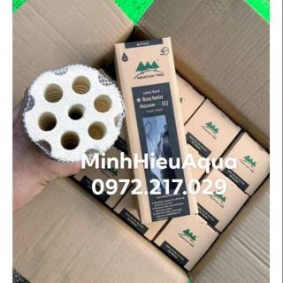 Sứ củ sen xoắn ốc thế hệ 3 (Bacteria House) - Mountain Tree Root 3
