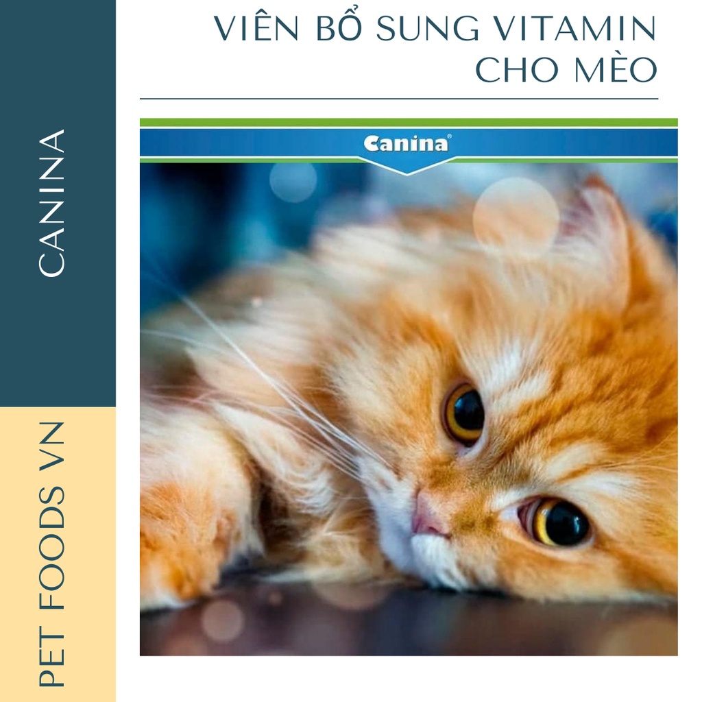 Vitamin cho mèo CANINA Cat-Vitamin Tabs dạng viên