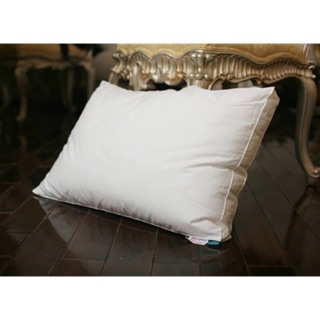 Ruột gối micro của hanvico