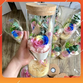 Hoa Hồng Khô Vĩnh Cửu ( Có đèn LED đổi màu )
