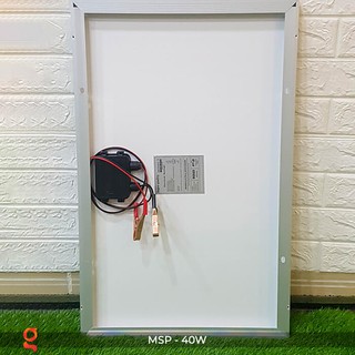 Pin năng lượng mặt trời Poly 40W