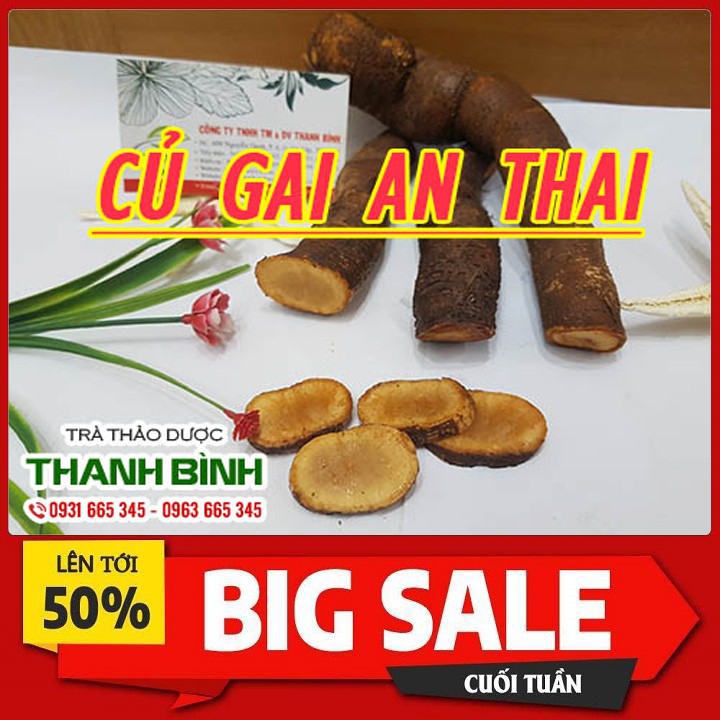 Củ Gai An Thai Tươi 500g - Thảo Dược Uy Tín