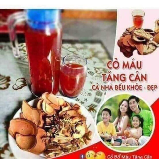 Cỏ máu tăng cân đủ vị 1kg gia truyền