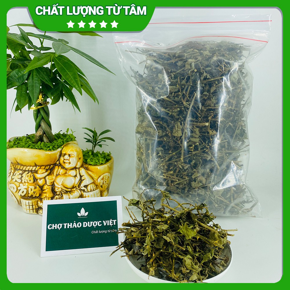 [Giá Sỉ] 1kg Cà Gai Leo (Thơm, Sạch)