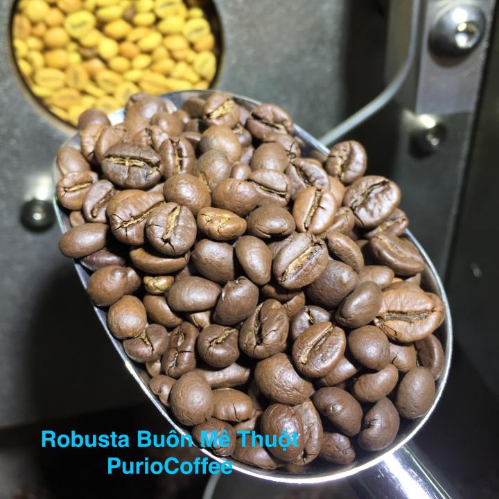 Combo 2 gói cafe rang xay nguyên chất rang mộc Robusta 250g pha phin, hương vị đậm đà thơm ngon gu Việt