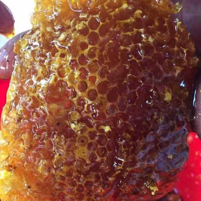 Mật ong hoa nhãn Hưng Yên (can 3kg ~2 lít)