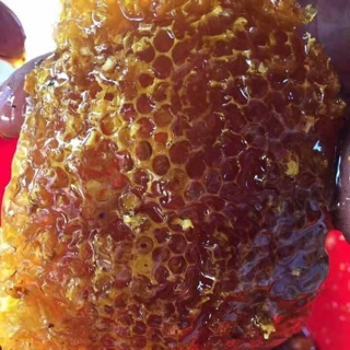 Mật ong hoa nhãn Hưng Yên (can 3kg ~2 lít)