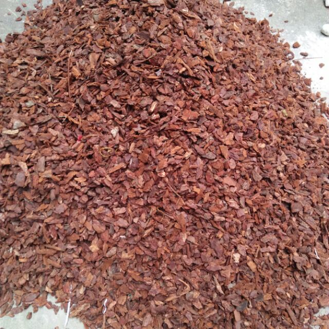 Vỏ gỗ thông vụn trồng lan đã qua xử lý 1kg