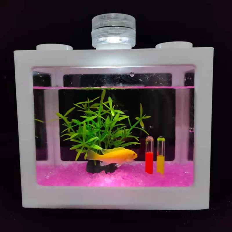 Đèn Hồ Cá Khối Ghép - Giá chỉ bao gồm 1 cái đèn phụ kiện tranh trí thuỷ sinh terrarium