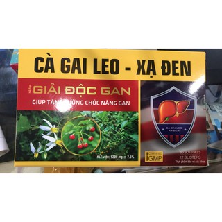 Cà gai leo-xạ đen