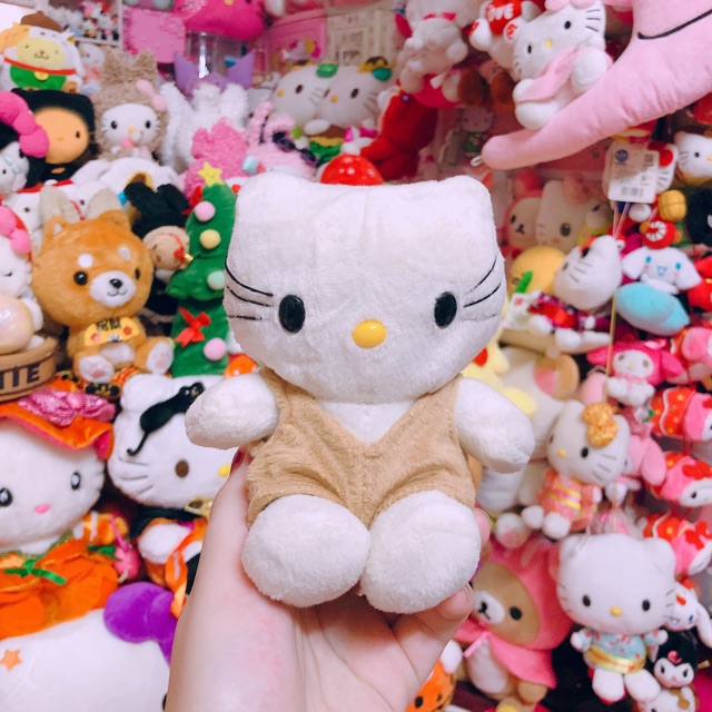 Kitty ngồi mini