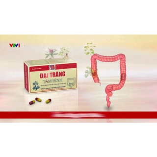 Đại Tràng Tâm Bình (hỗ trợ điều trị viêm đại tràng, kích thích tiêu hoá...) Hộp 60 viên