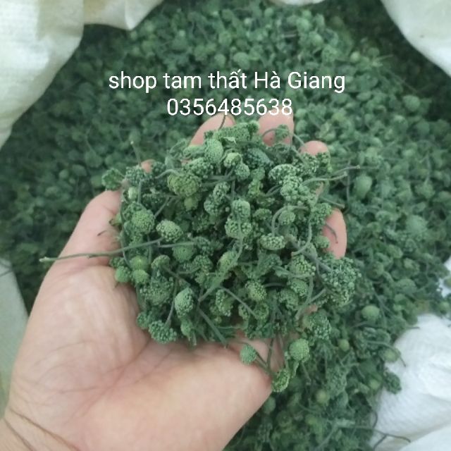 Hoa (nụ) tam thất bắc  loại đẹp 300g) đặc sản Hà Giang