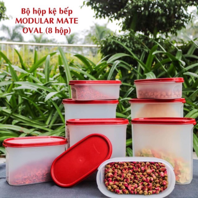 Tupperware - Bộ hộp kệ bếp Modular Mate Oval (8 hộp)