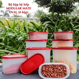 Bộ hộp kệ bếp Modular Mate Oval