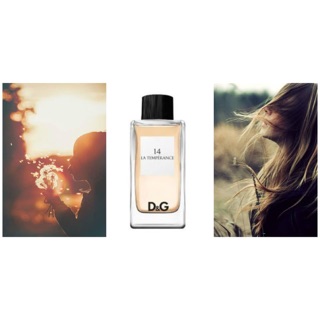 Sharingperfume - nước hoa D&G 14 ANTHOLOGY LA TEMPERANCE [Mẫu thử 1Oml]