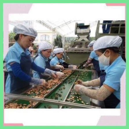 Hạt Điều Rang Muối Ngon, Hạt Điều Bình Phước, Điều Loại 1, Hạt Điều Nguyên Lụa, Hạt Điều Sấy, Hạt Điều 500g | BigBuy360 - bigbuy360.vn