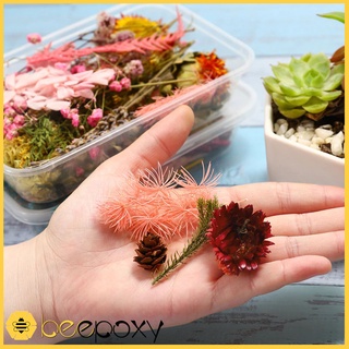 Hoa khô Vĩnh Cửu - Set hỗn hợp trên 10 loại hoa