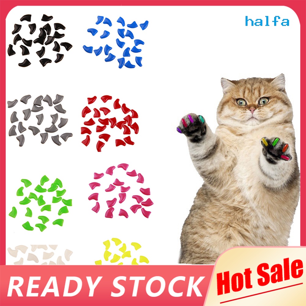 Set 20 miếng nhựa mềm bọc móng vuốt mèo nhiều màu có keo dán