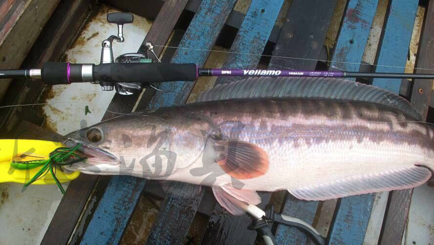 Mồi Câu Cá Giả Hình Ếch Nhảy Ếch Haruan Katak 9g Kèm Móc Câu Sắc Bén